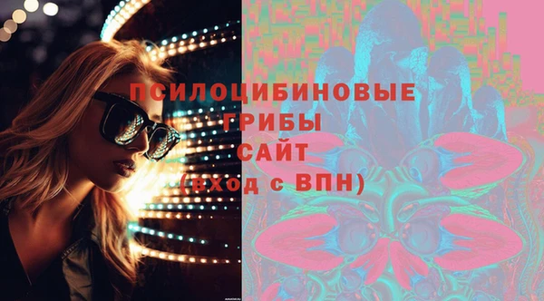 гидропоника Краснослободск