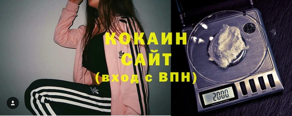 трава Корсаков