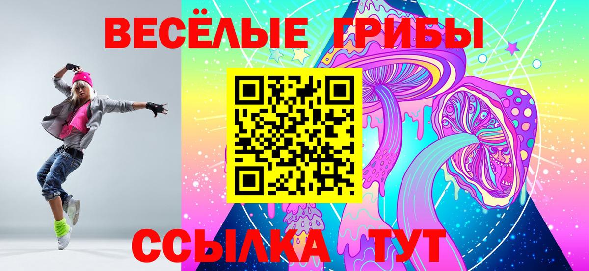 Псилоцибиновые грибы ЛСД  Псилоцибиновые грибы Cubensis  Тында 